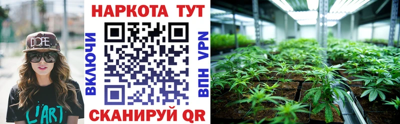 Купить наркотики цена Отрадное Кокаин Меф ГАШ МЕТАМФЕТАМИН Канабис