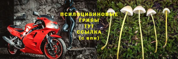 каннабис Беломорск