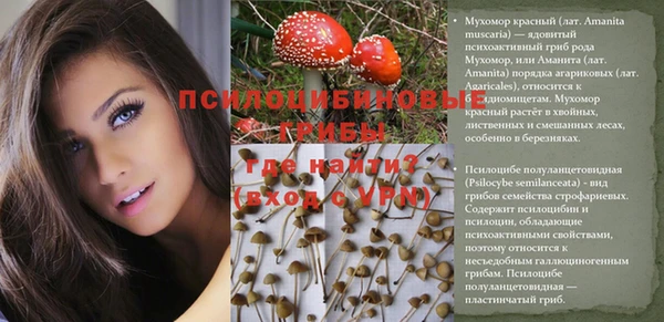 спиды Баксан