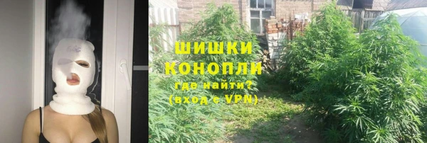гидра Белокуриха